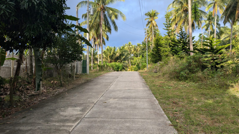 Access_Road_3