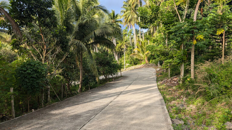 Access_Road_4