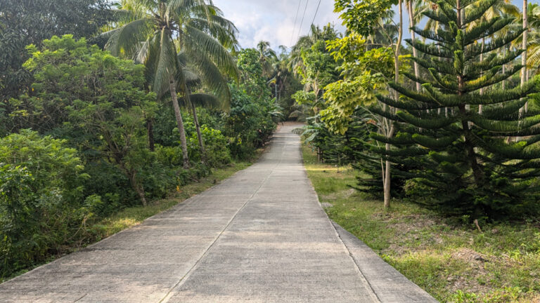 Access_Road_5