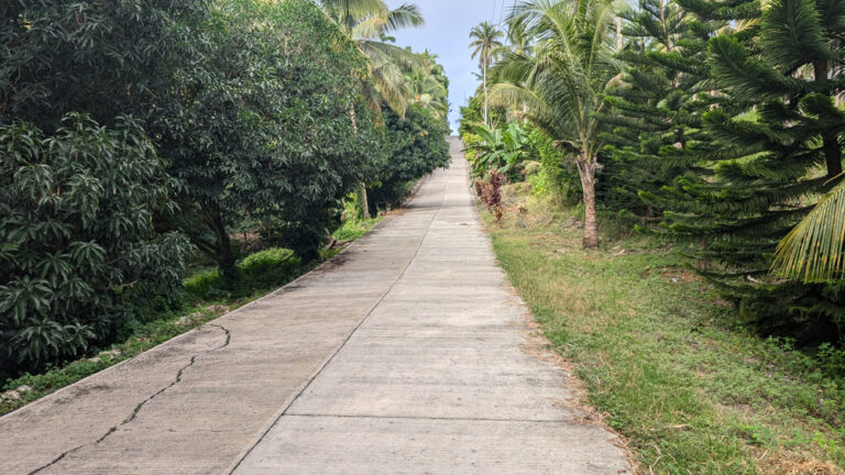 Access_Road_6